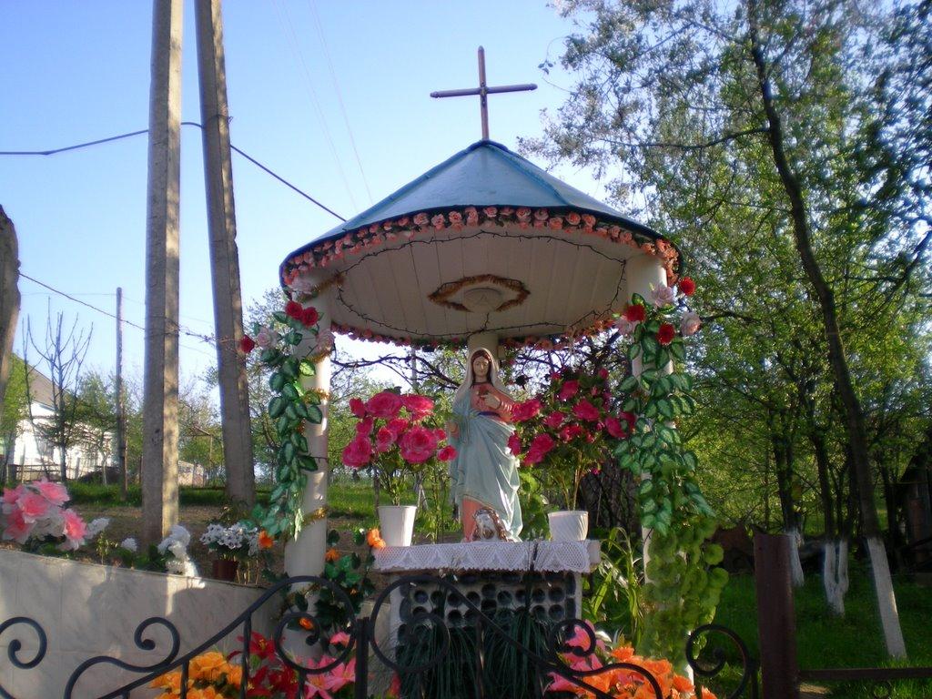 Осій з panoramio.com - Осій