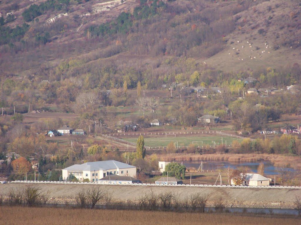 Волошкове з panoramio.com - Волошкове