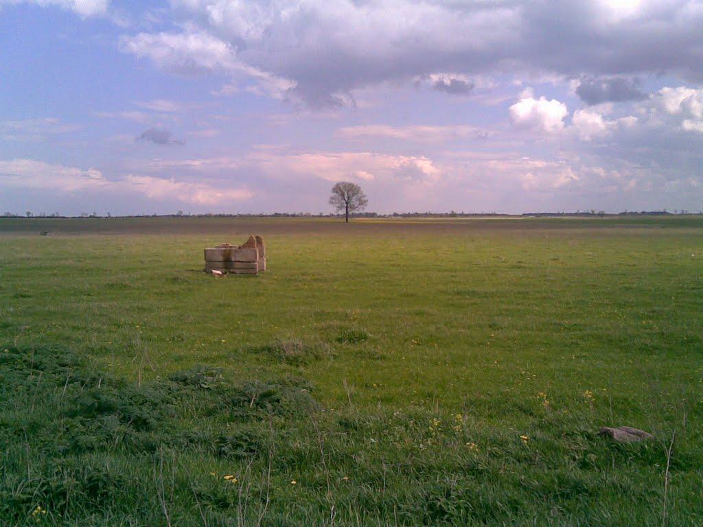 Грушки з panoramio.com - Грушки