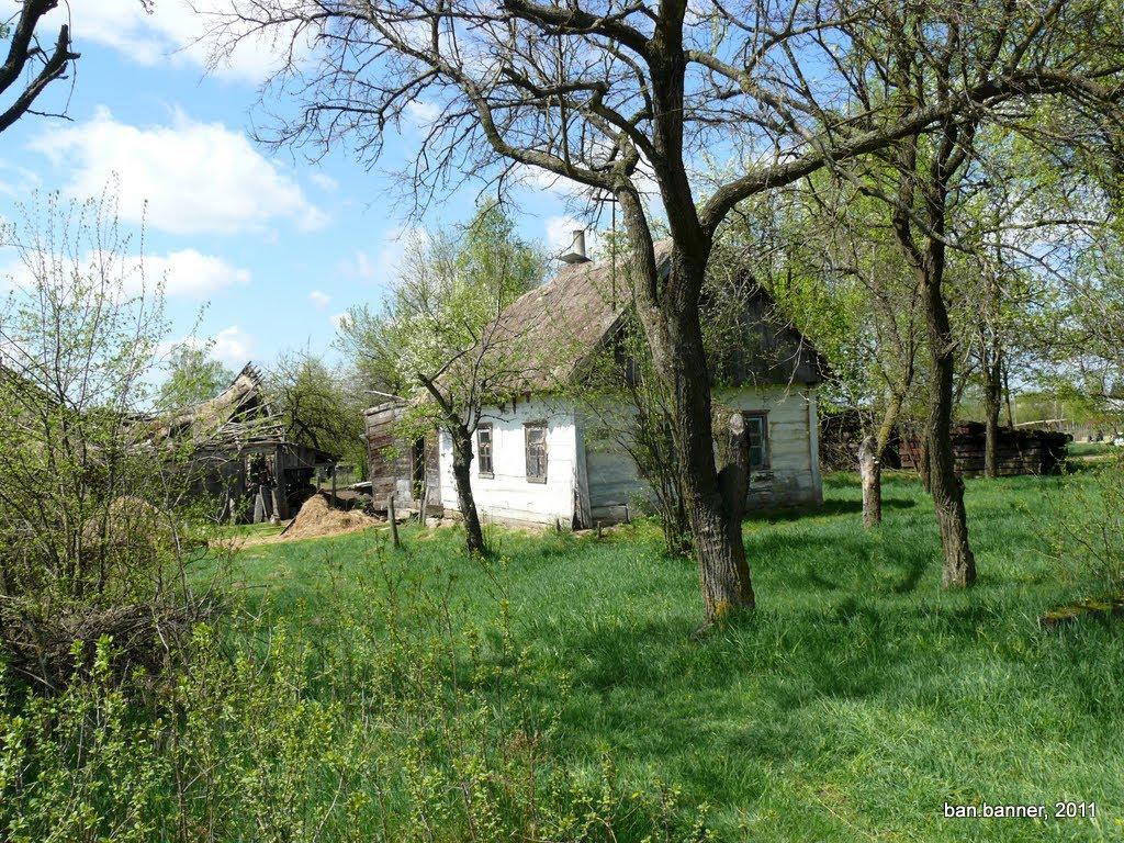 Старі Новаки з panoramio.com - Старые Новаки