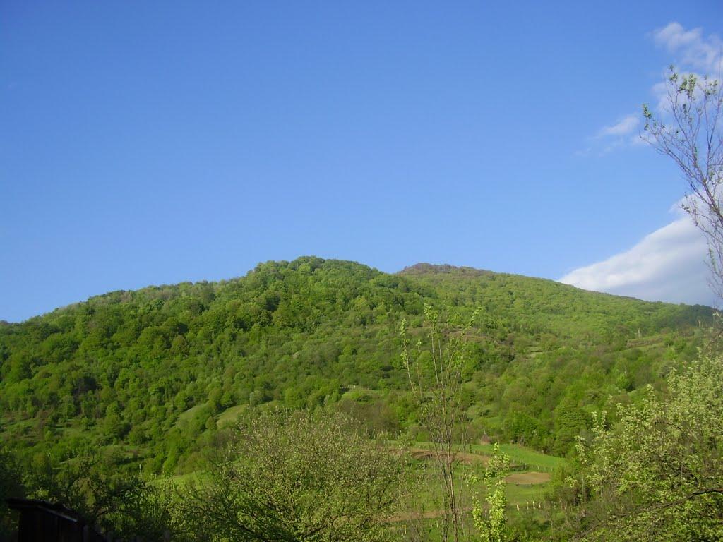 Домашин з panoramio.com - Домашин