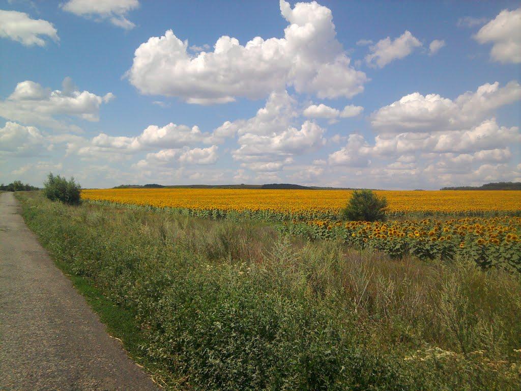 Танюшівка з panoramio.com - Танюшівка