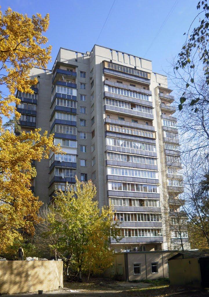 Петропавлівська Борщагівк з panoramio.com - Петропавловская Борщаговк