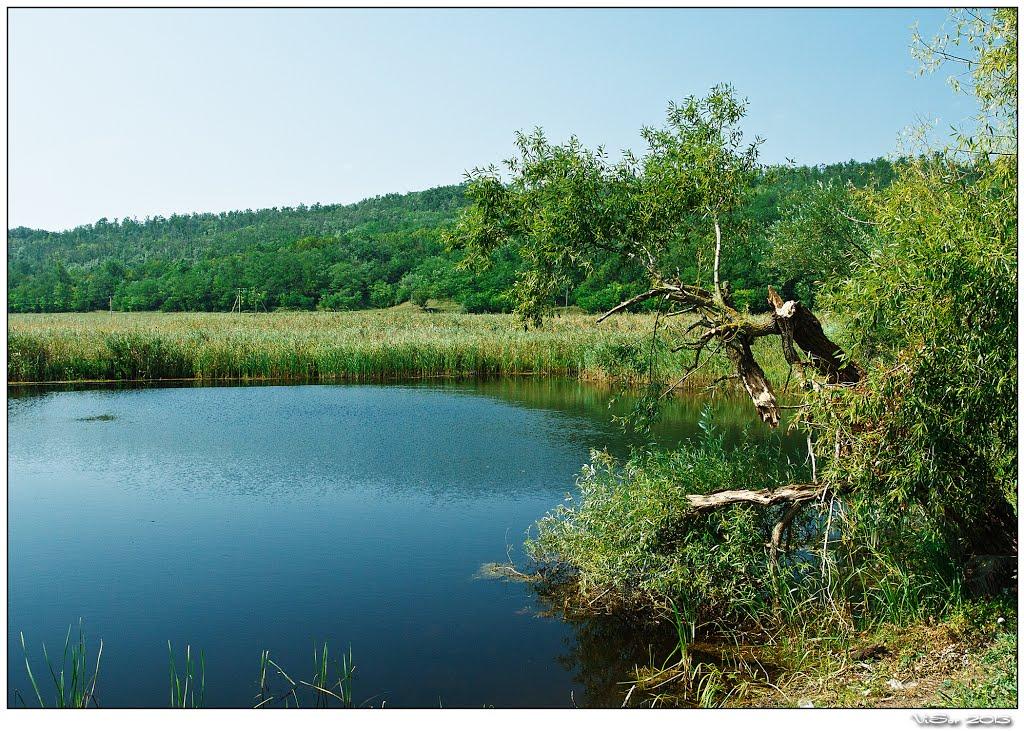 Настасіївка з panoramio.com - Настасиевка