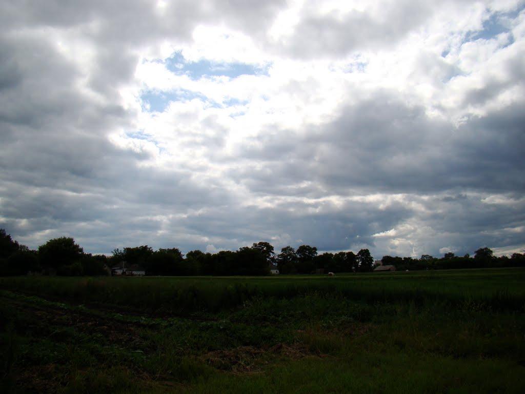 Червона Дача з panoramio.com - Червона Дача