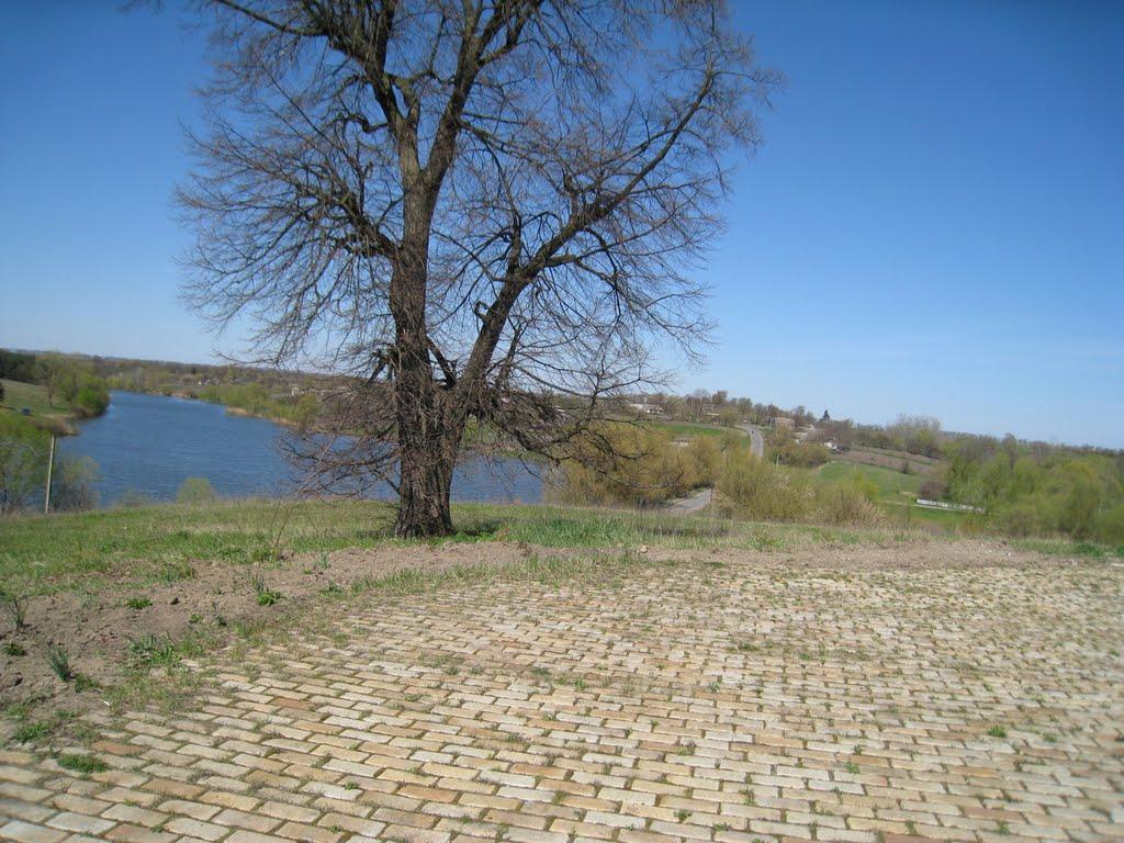 Поличинці з panoramio.com - Поличинці