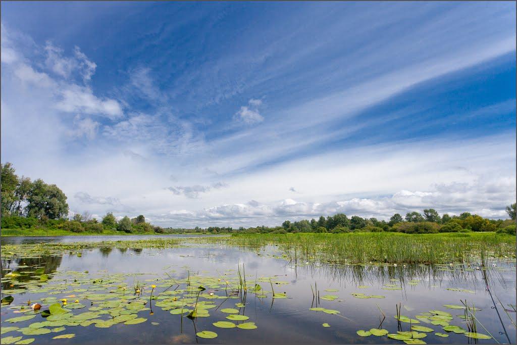 Беремицьке з panoramio.com - Beremytske