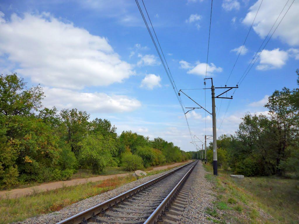 Вільне з panoramio.com - Вольное