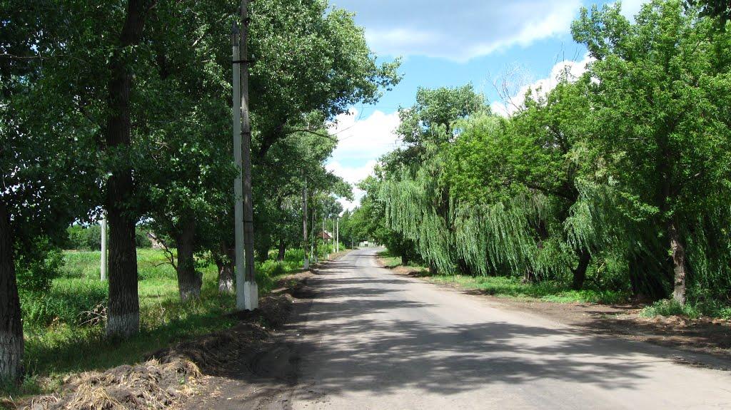 Сергіївка з panoramio.com - Сергіївка