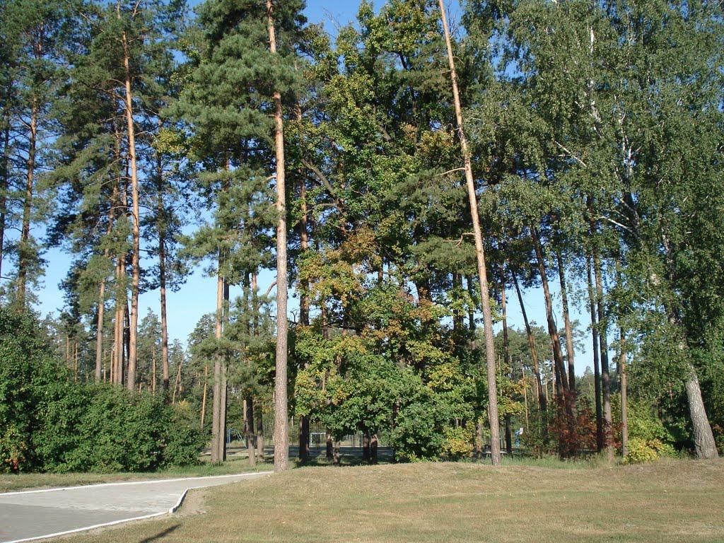 Руська Поляна з panoramio.com - Русская Поляна