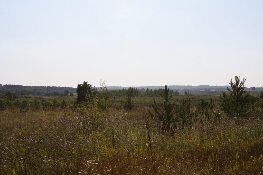 Тарасенки з panoramio.com - Тарасенки