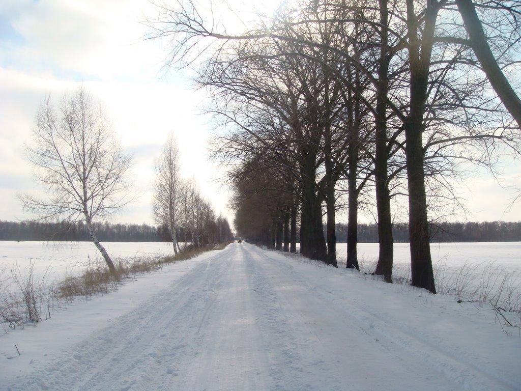 Переяслівка з panoramio.com - Переяслівка
