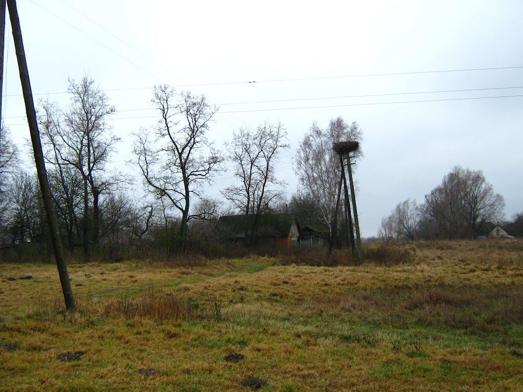 Кругле з panoramio.com - Кругле