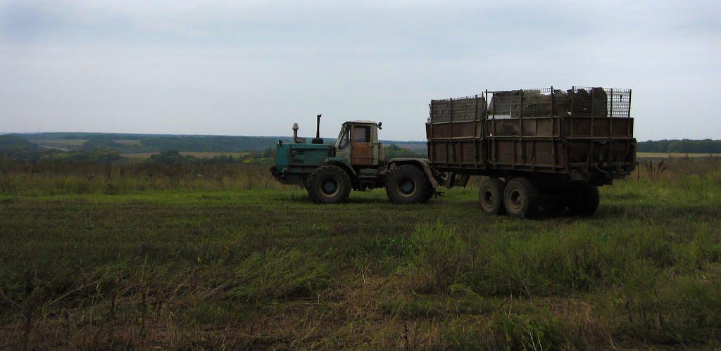 Верхня Озеряна з panoramio.com - Verkhnya Ozeryana