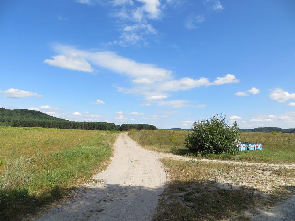 Велика Іловиця з panoramio.com - Велика Іловиця