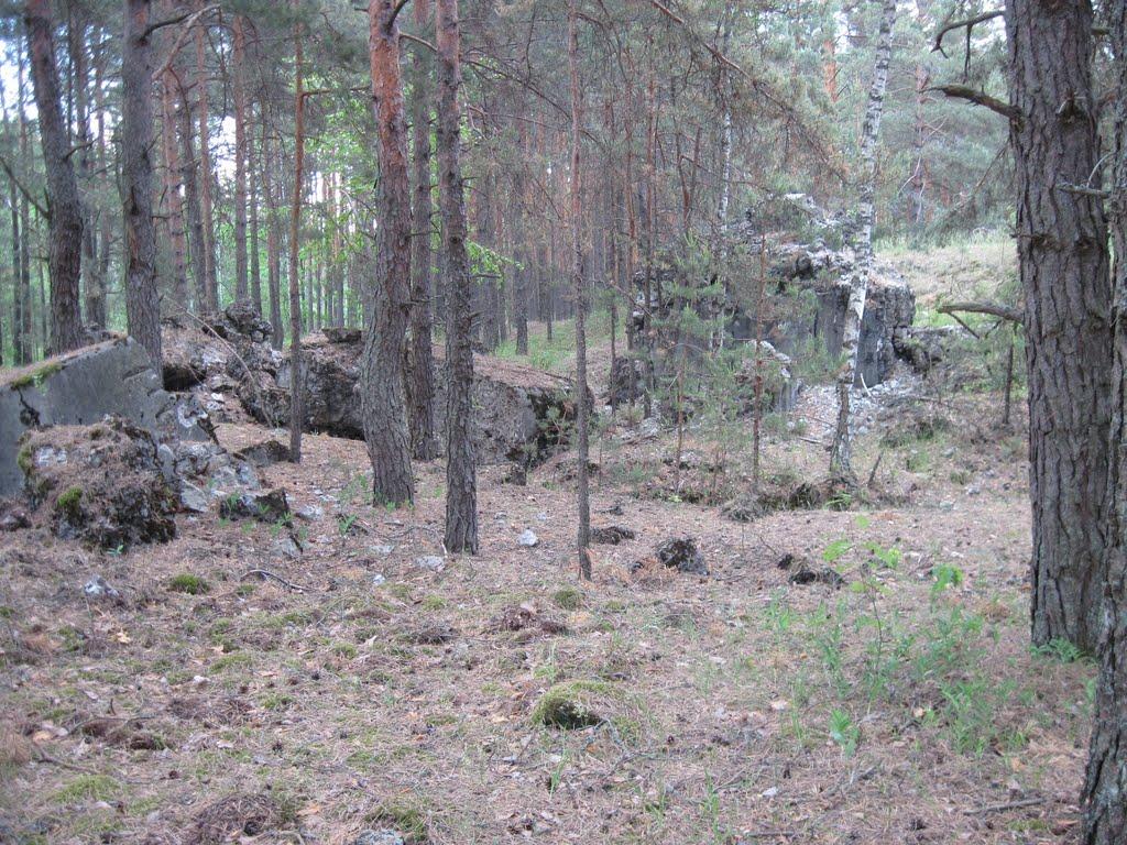 Пугач з panoramio.com - Пугач