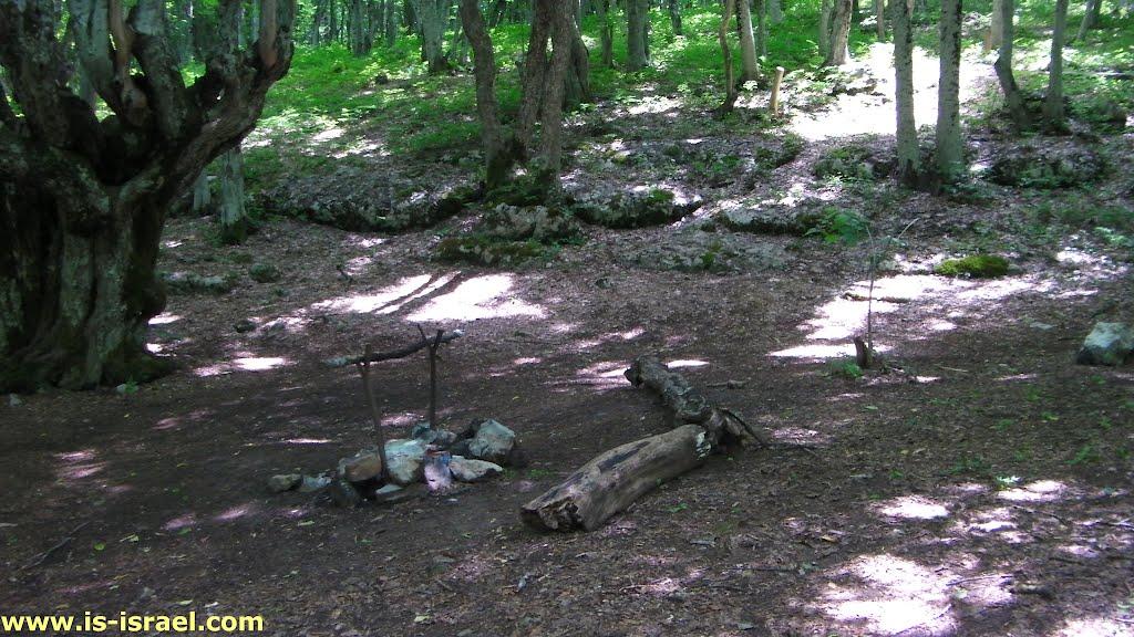 Богатир з panoramio.com - Богатир