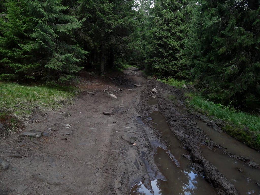 Берестечко з panoramio.com (ч.2) - Berestechko