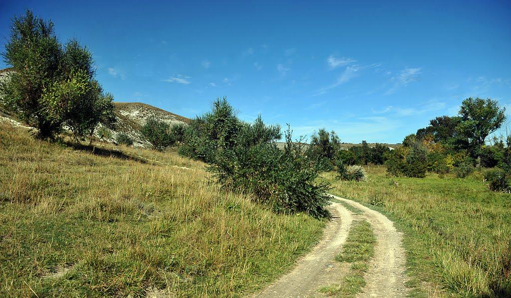 Білокузьминівка з panoramio.com - Білокузьминівка