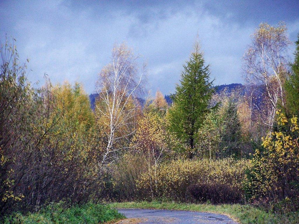 Боберка з panoramio.com - Боберка