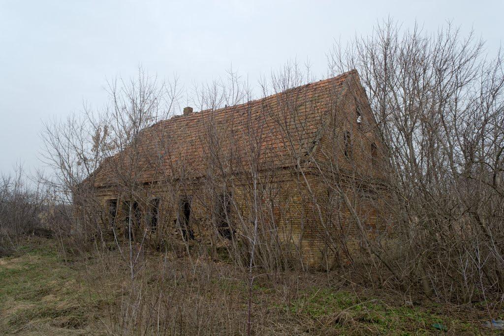 Ручаївка з panoramio.com - Ручаївка