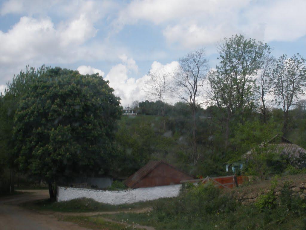 Володіївці з panoramio.com - Володіївці