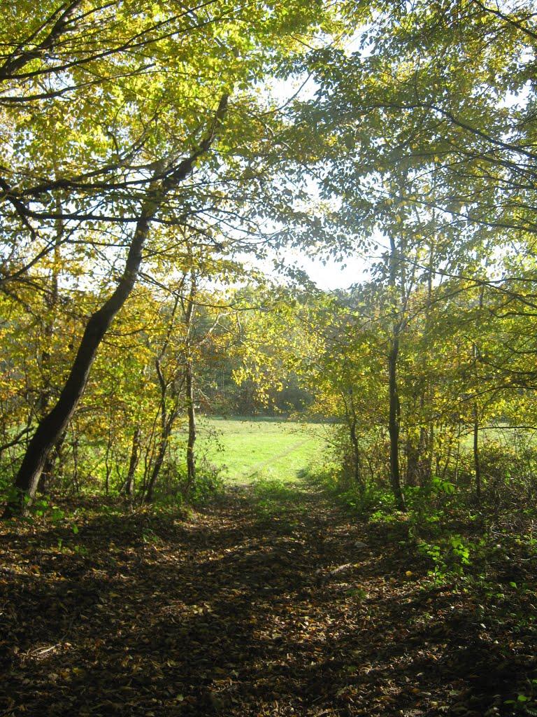 Острів з panoramio.com - Острів