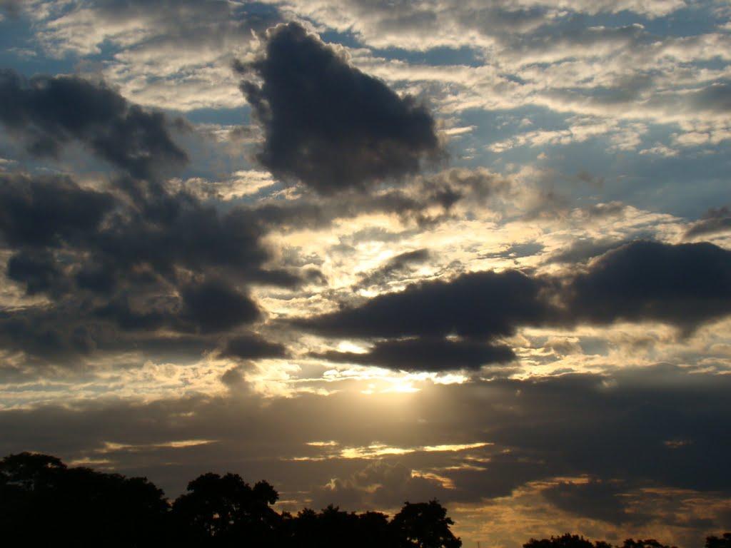 Червона Дача з panoramio.com - Червона Дача