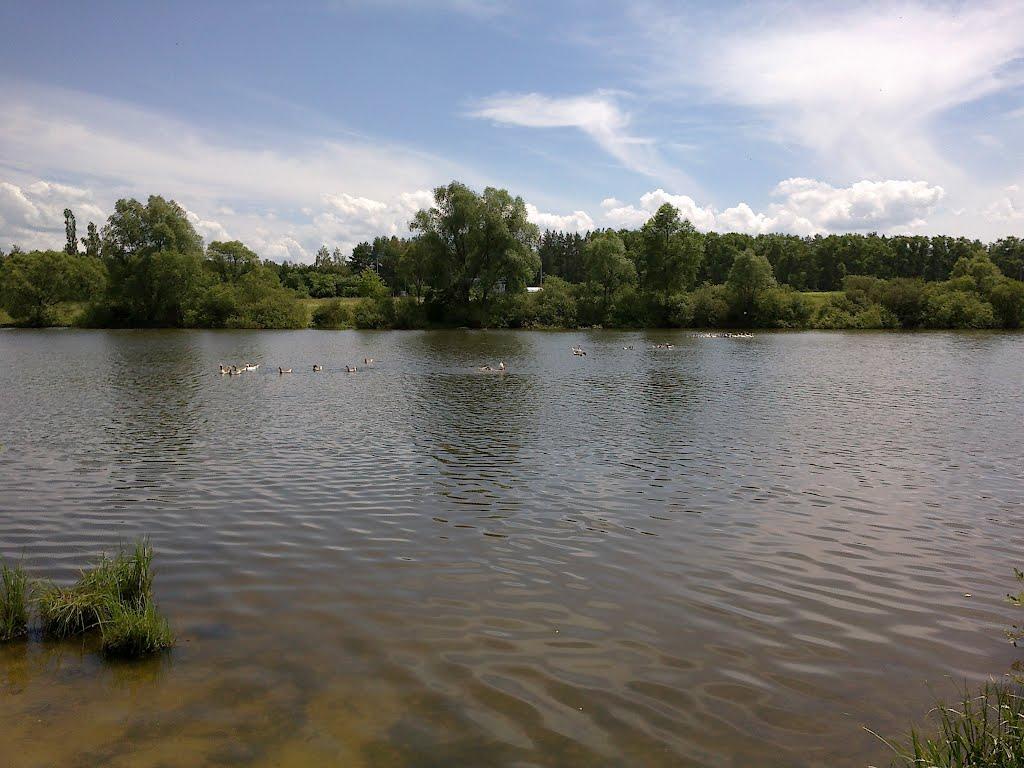 Ямпіль з panoramio.com - Ямпіль