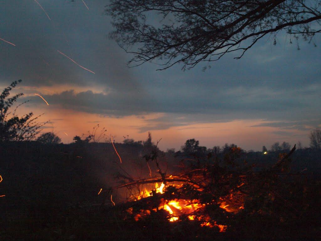 Стовп'яги з panoramio.com - Стовп'яги