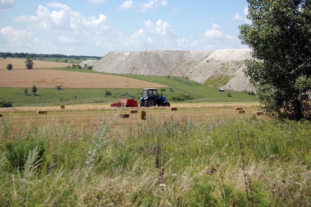 Золотарівка з panoramio.com - Золотарівка
