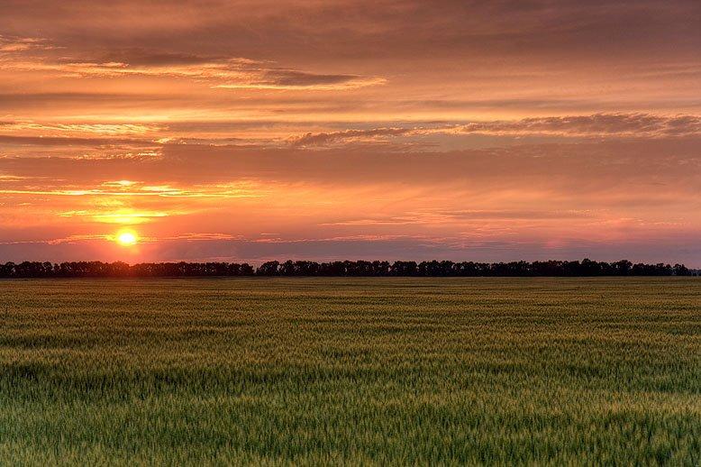 Мартусівка з panoramio.com - Мартусівка
