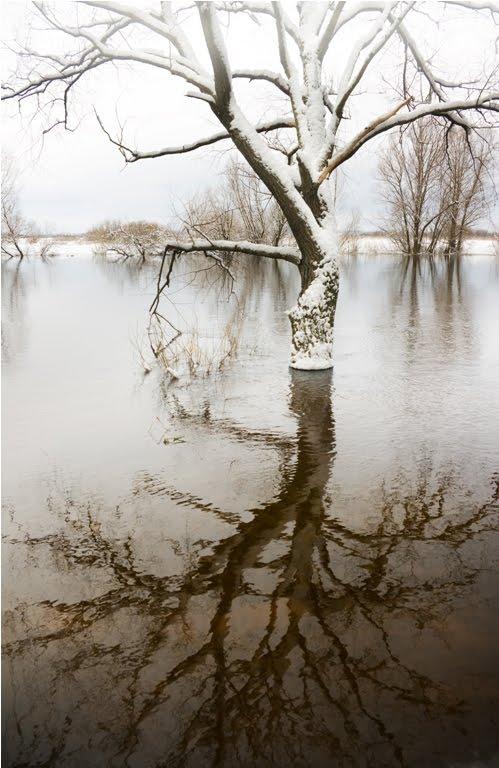 Кузнецовськ з panoramio.com - Varash