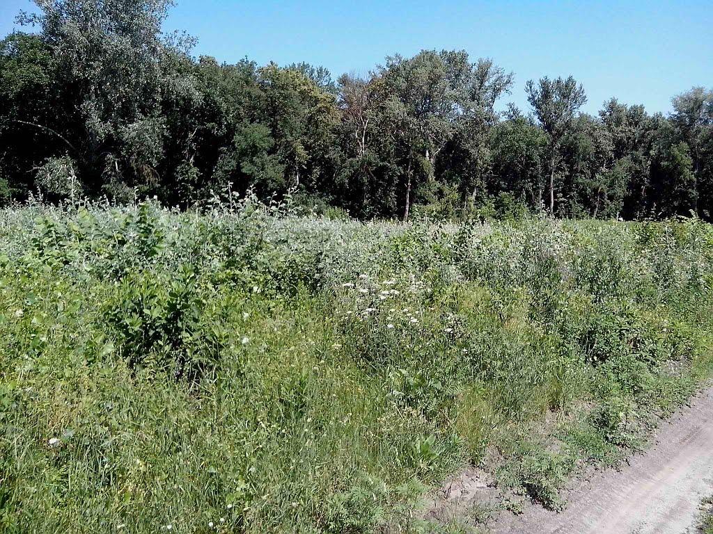 Говтва з panoramio.com - Говтва