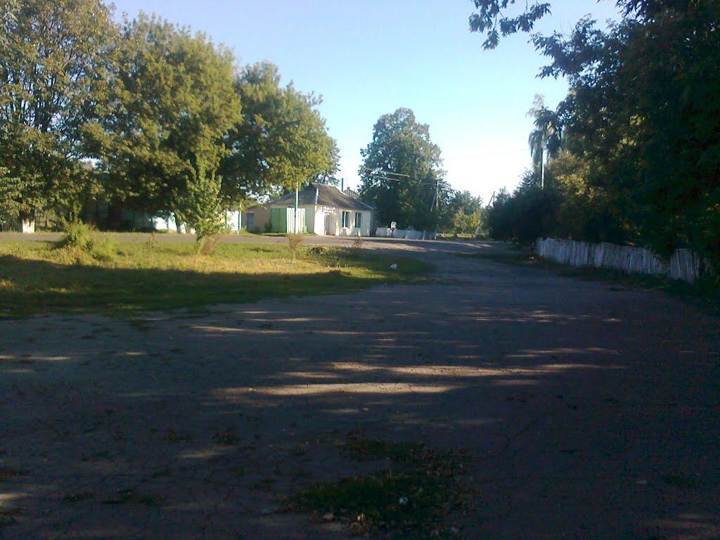 Байрак з panoramio.com - Байрак