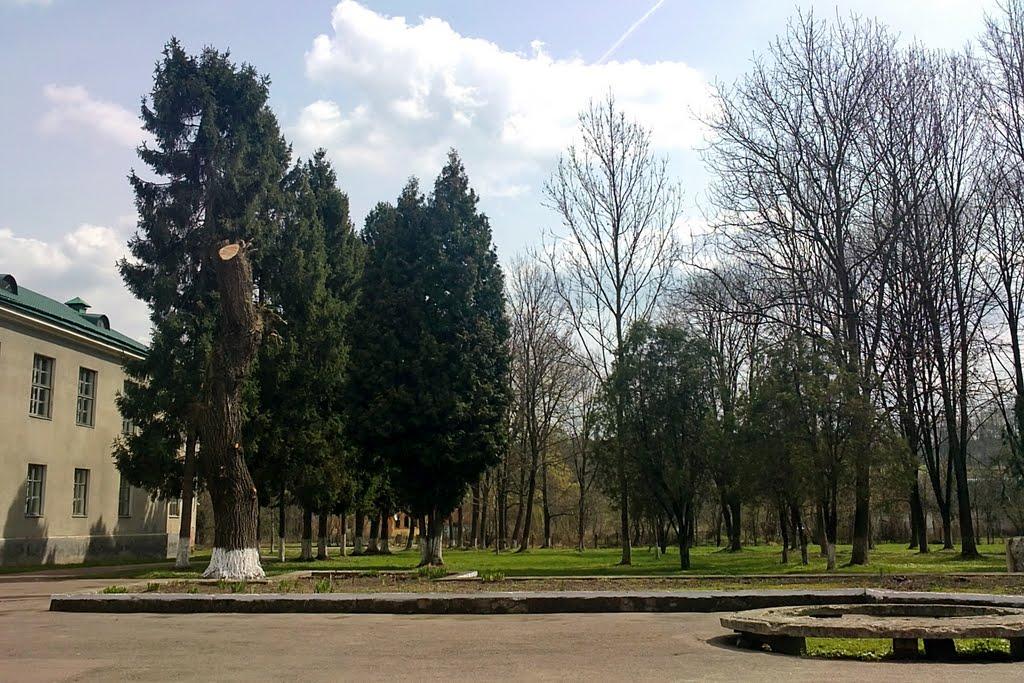 Калуш з panoramio.com (ч.2) - Калуш