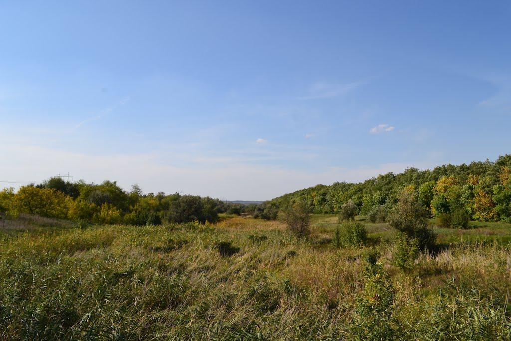 Новогупалівка з panoramio.com - Новогупалівка