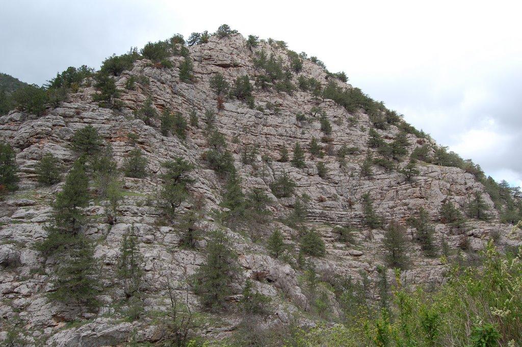 Колхозне з panoramio.com - Колхозное