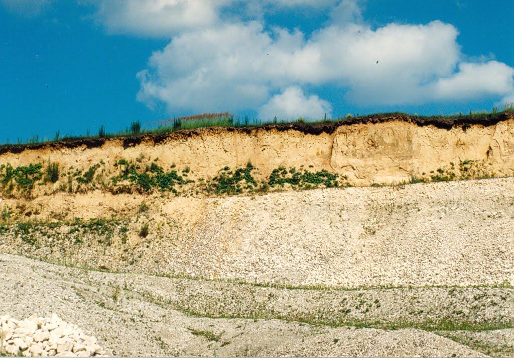 Білогородка з panoramio.com - Білогородка