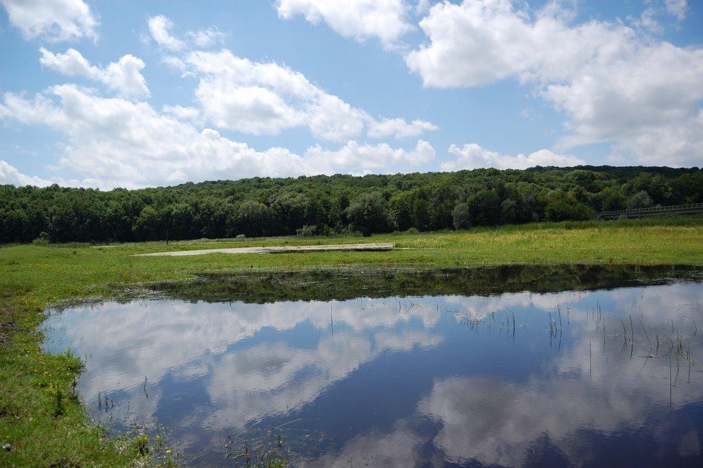 Лука з panoramio.com - Лука