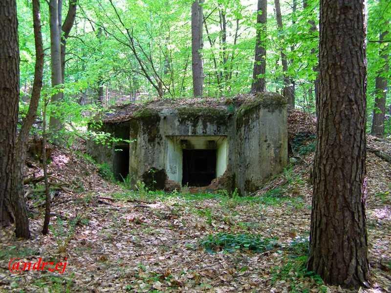 Великі Макари з panoramio.com - Великі Макари