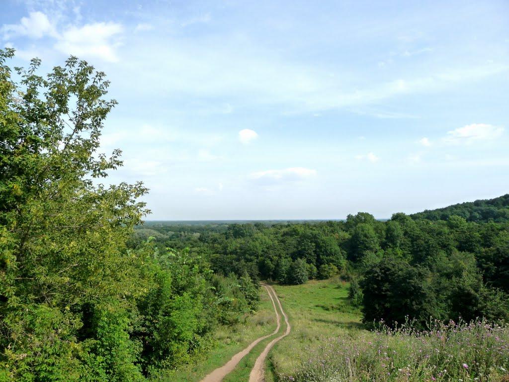 Яреськи з panoramio.com - Яреськи