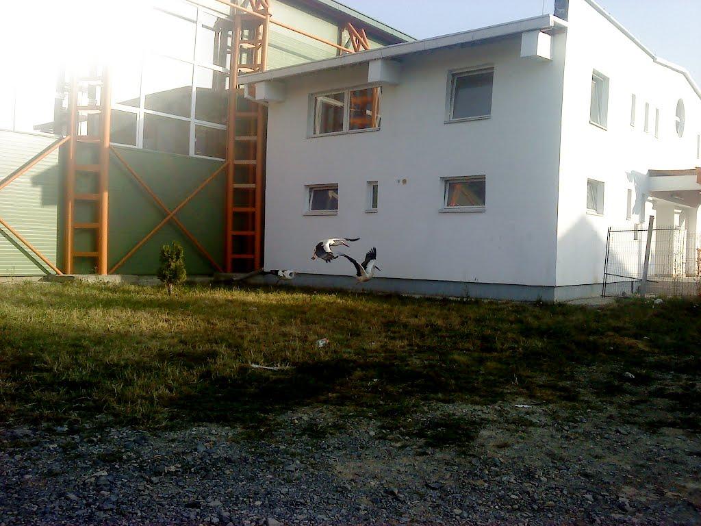 Холмовець з panoramio.com - Холмовец