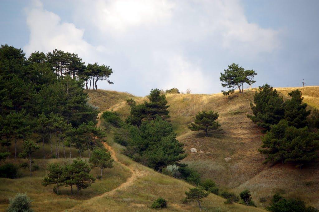 Піщане з panoramio.com - Песчаное