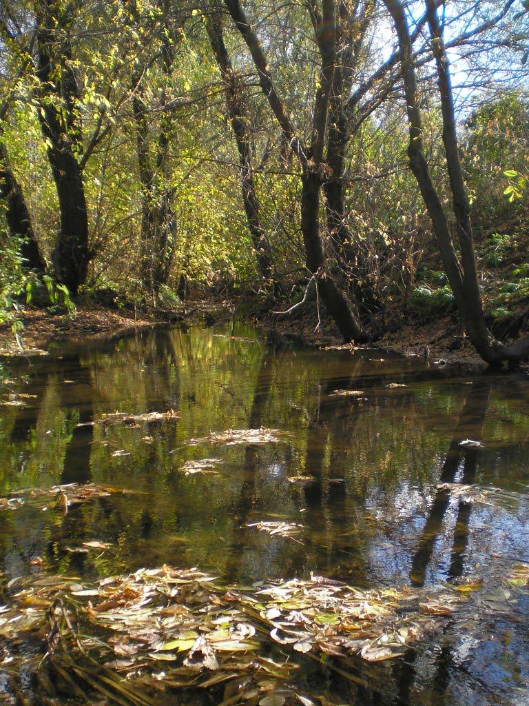 Сергіївка з panoramio.com - Сергіївка