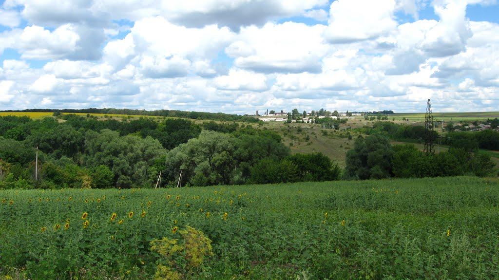 Сергіївка з panoramio.com - Сергіївка
