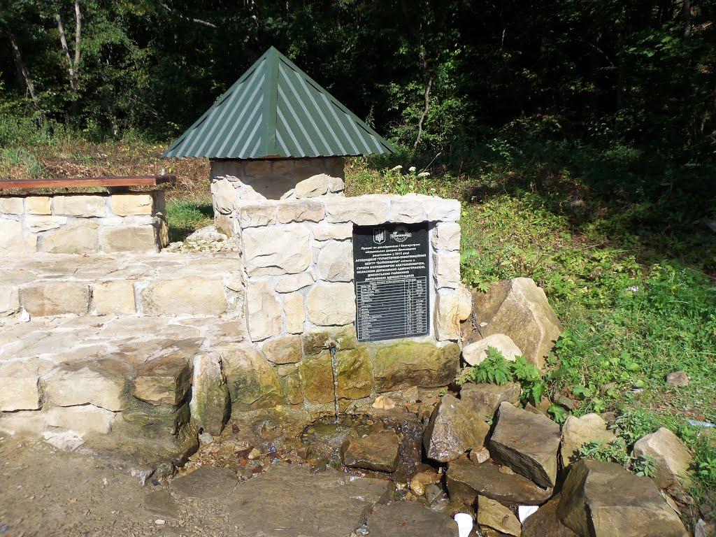 Новий Мізунь з panoramio.com - Новий Мізунь