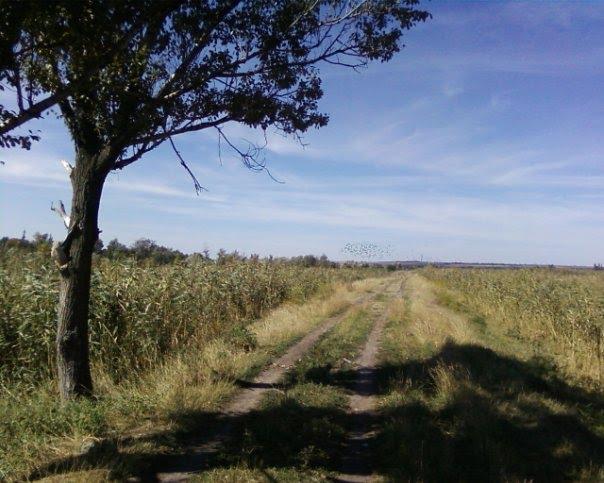 Петрівка Перша з panoramio.com - Петровка Первая
