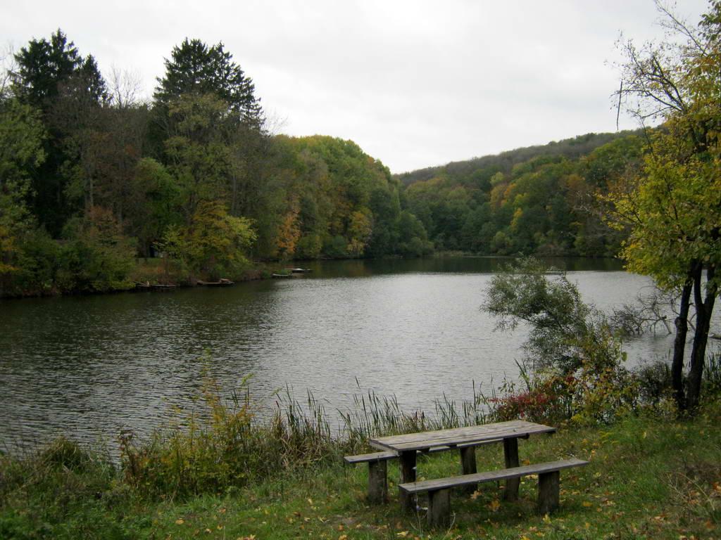 Вакалівщина з panoramio.com - Вакаловщина