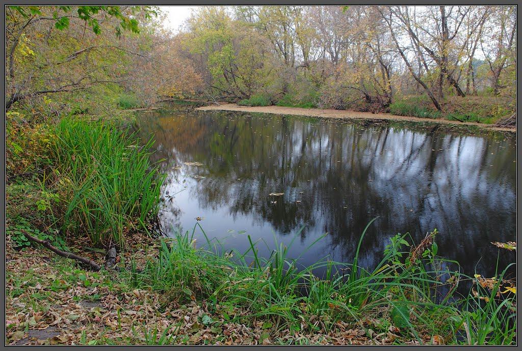 Сорокове з panoramio.com - Сороково